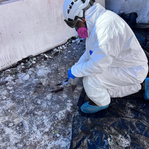 Imagen de WhatsApp 2025-08-24 a las 00.46.53_03d014cc