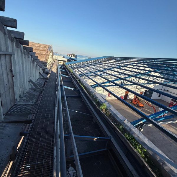 Imagen de WhatsApp 2025-08-24 a las 00.46.55_975aafdc