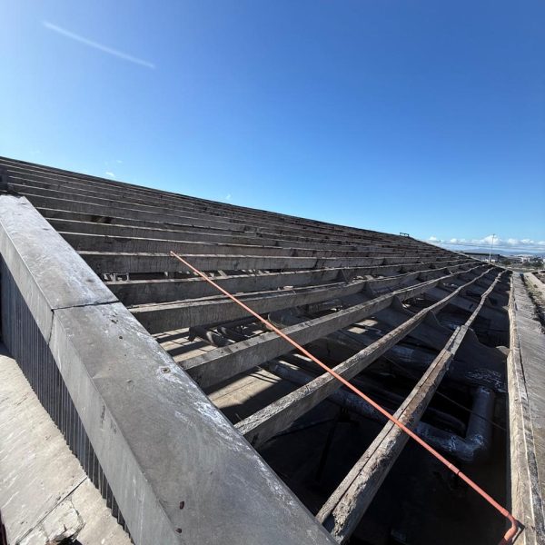 Imagen de WhatsApp 2025-08-24 a las 00.46.55_b28fbd55